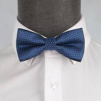 Бабочка мужская 0055