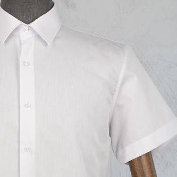 Рубашка мужская Nicolo Angi 2200Т01 к/р