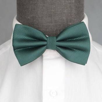 Бабочка мужская 0244