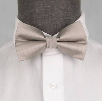 Бабочка мужская 0145