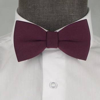 Бабочка мужская 0271